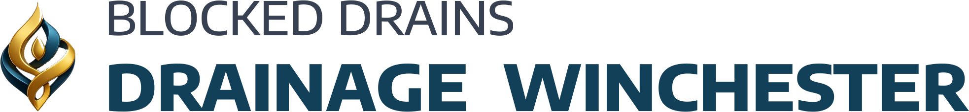 website logo